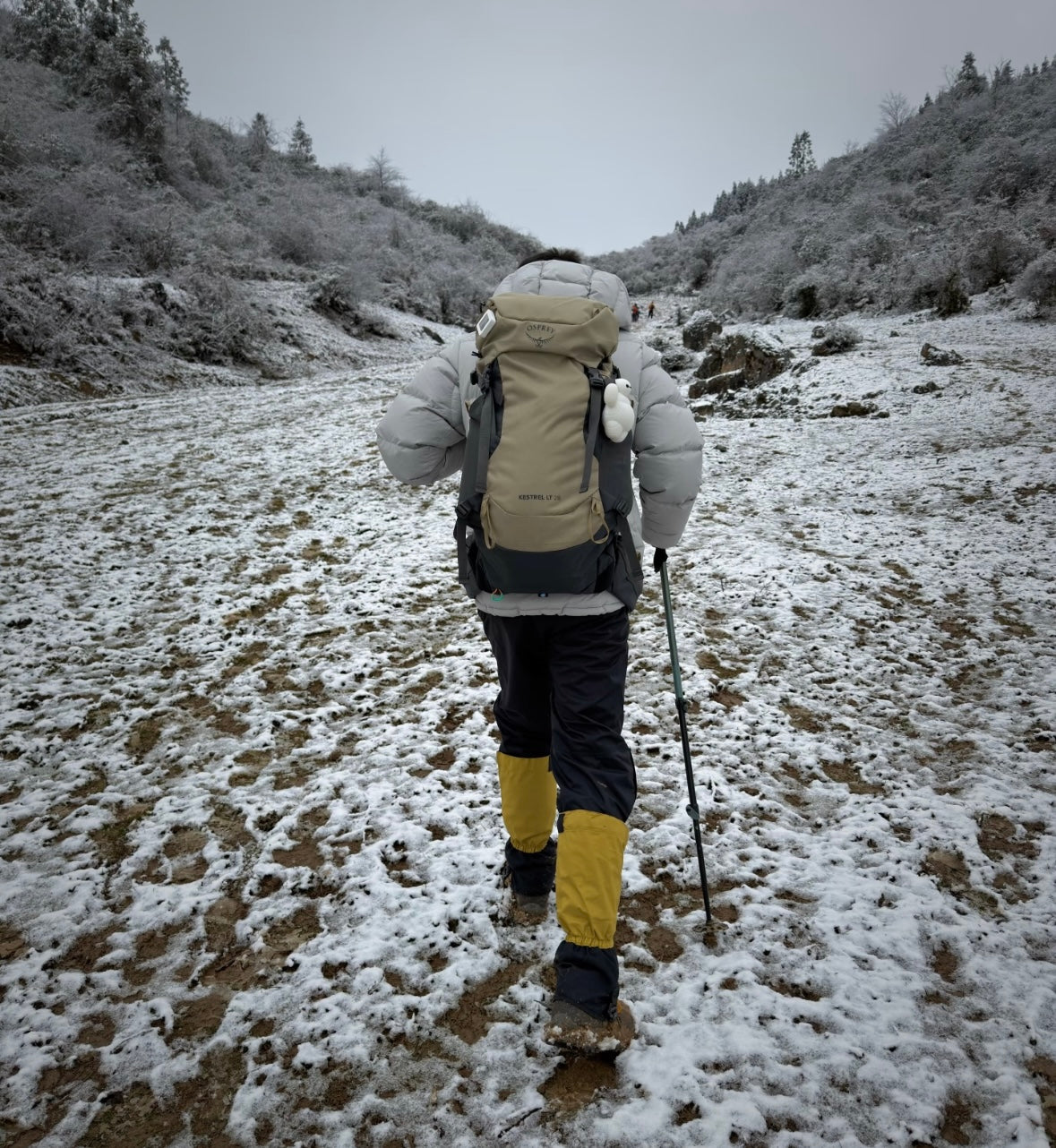 2026 New Osprey Kestrel 28 LT Men's Lightweight Camping Backpack
