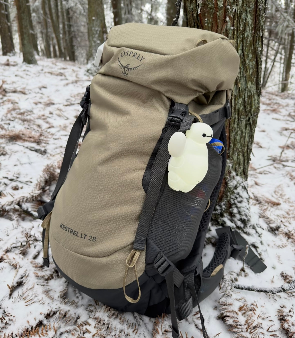 2026 New Osprey Kestrel 28 LT Men's Lightweight Camping Backpack